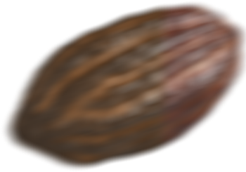 Kakao Tanesi